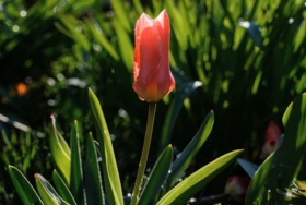 Easter Message from Bishop Brendan Leahy 2026