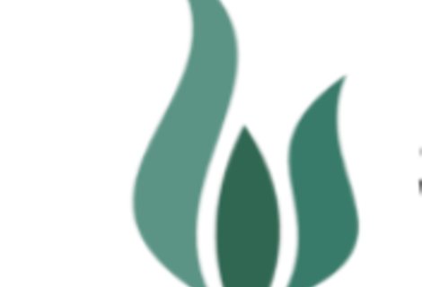 National Board for Safeguarding Children