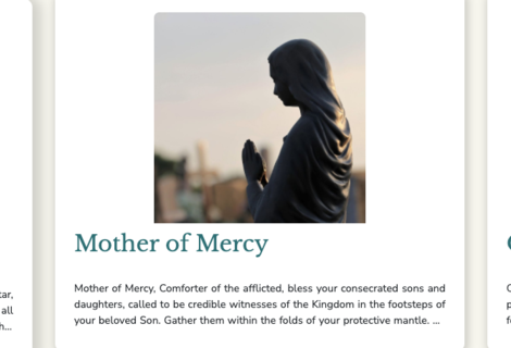 How can I participate in the Synod?
